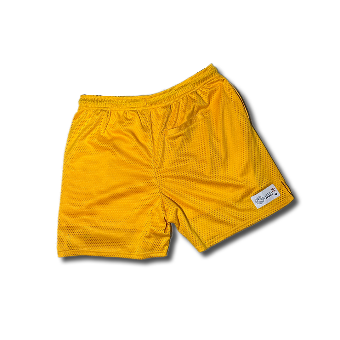 Basic Mesh Shorts
