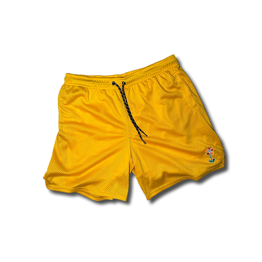 Basic Mesh Shorts